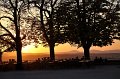 Buga_Koblenz   122